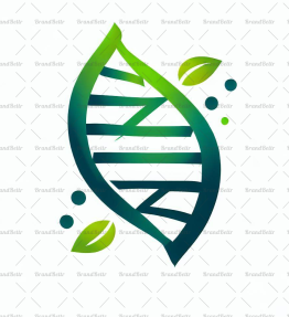 DNA